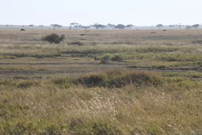 DSC_3819 (Large).JPG